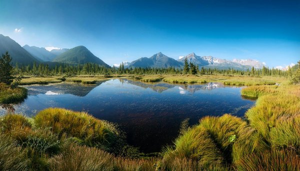 Découvrez comment trouver un camping avec wi-fi ultra-rapide : le guide incontournable